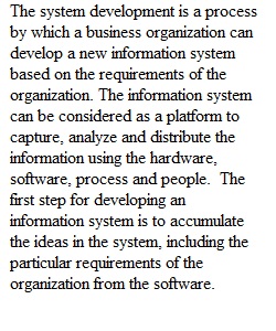Management Information Systems-Essay